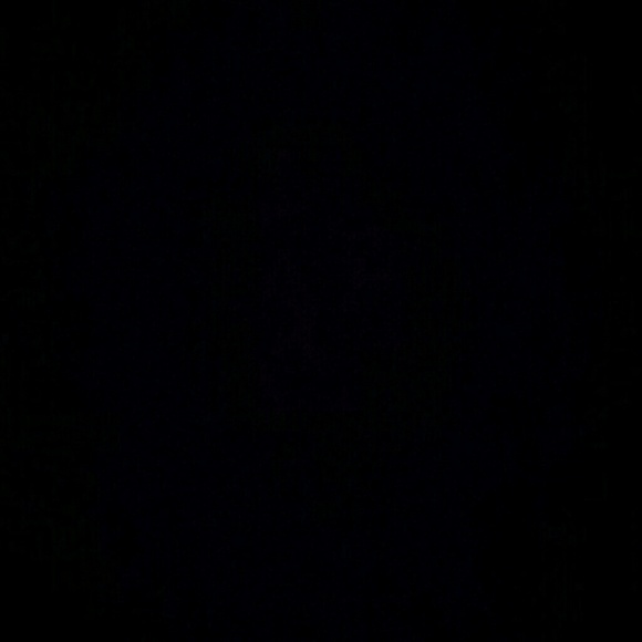 Meet your Posher, Ariana - Picture 1 of 1